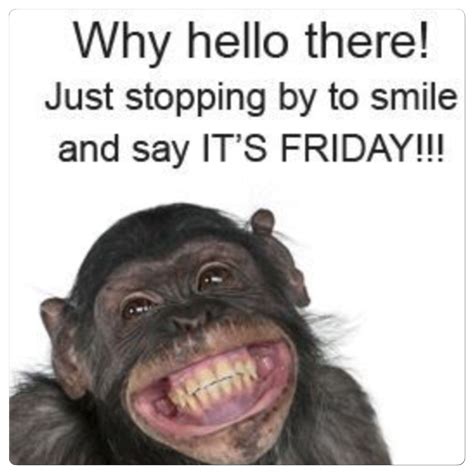 good morning happy friday funny work images